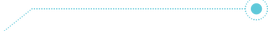 line standard